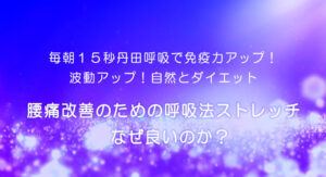 5-腰痛改善のための呼吸法ストレッチ　なぜ良いのか？